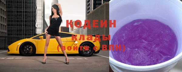 spice Богородск