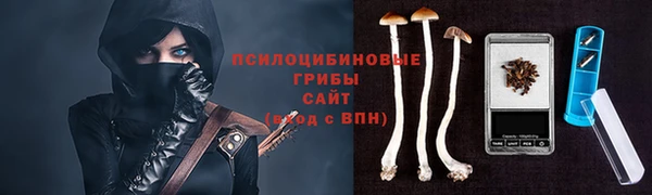 амф Богородицк