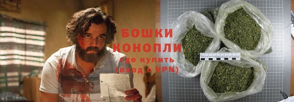 spice Богородск