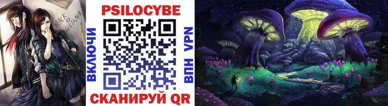 Галлюциногенные грибы Psilocybe  блэк спрут как зайти  Бузулук 