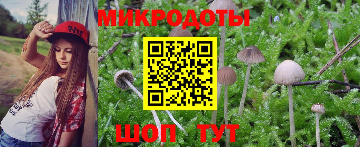 Бузулук  Псилоцибиновые грибы Psilocybine cubensis  Вход с VPN 