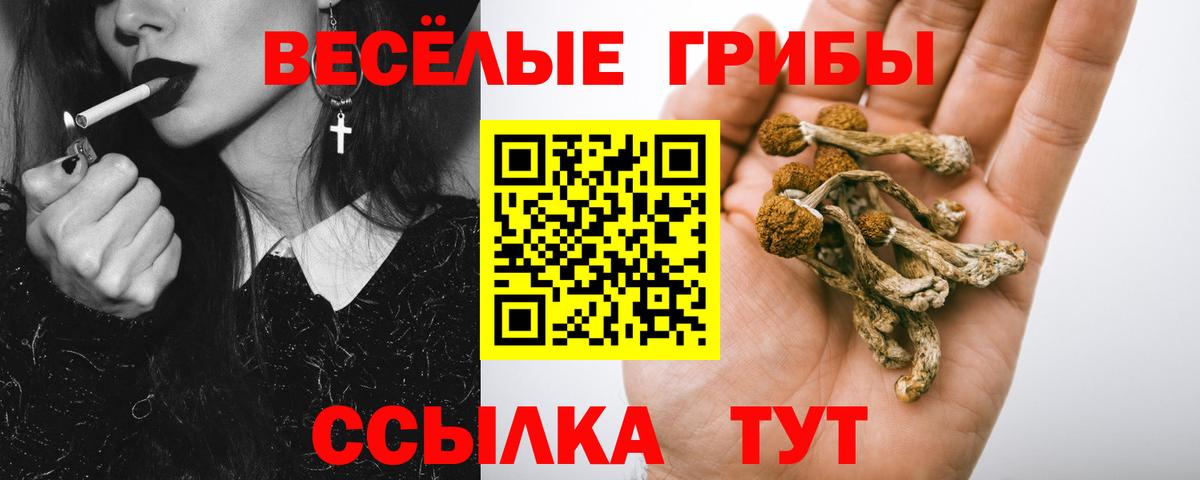 Псилоцибиновые грибы мицелий  цена наркотик  Галлюциногенные грибы ЛСД  Бузулук 