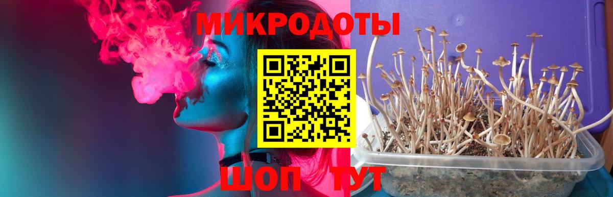 Галлюциногенные грибы MAGIC MUSHROOMS Бузулук
