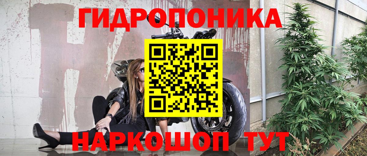 Марихуана Bruce Banner  Бузулук  Бошки Шишки VHQ  Конопля LSD WEED 